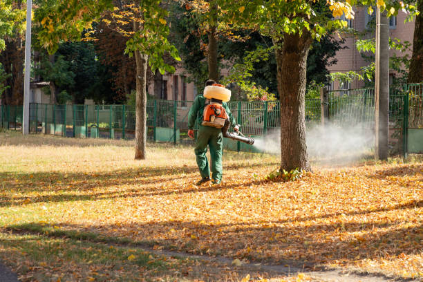 Insect Control in Braddock Hills, PA